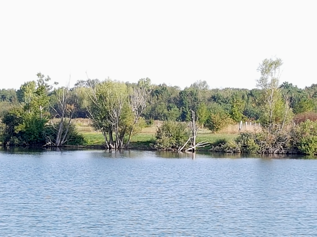 GREYS lake: Stek3,  1 visser met 4 hengels