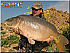 1 out of 4 was a stunning 15 kilo longshaped mirror..