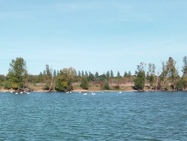 GREYS lake: Stek5,  1 visser met 4 hengels